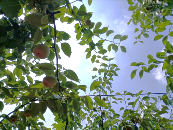 a16ab72d95bb42ecaa473264cfa939a9.png a16ab72d95bb42ecaa473264cfa939a9.png