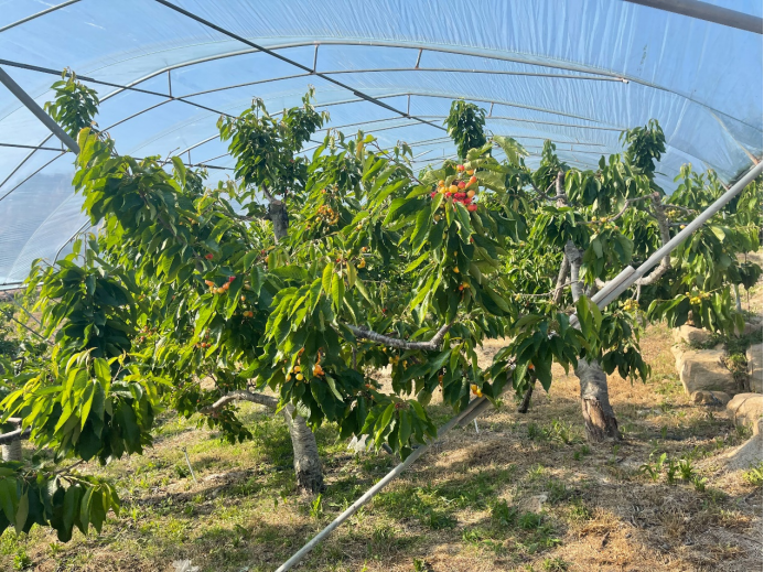 b6dfb9b0fdb142fb885c220bdc3deee4.png b6dfb9b0fdb142fb885c220bdc3deee4.png