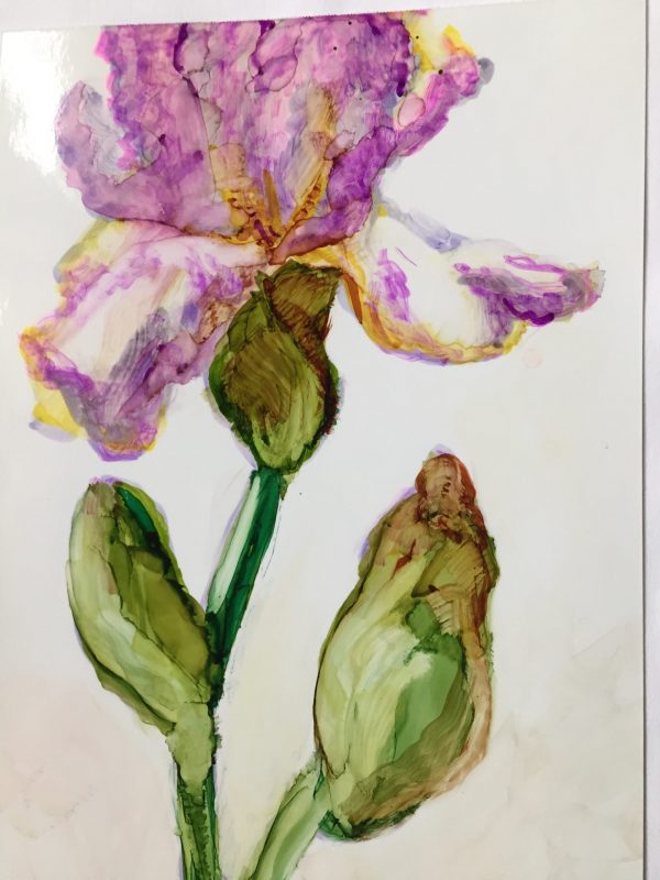 5 Greeting/All Occasion Cards (Set 2) - Image 2
